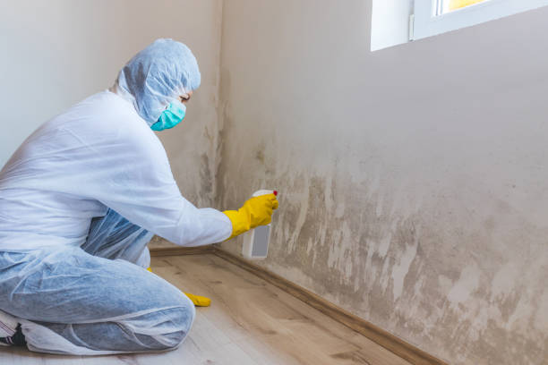 Licensed Mold Testing service in Franklin, TN - WQB Mold Removal