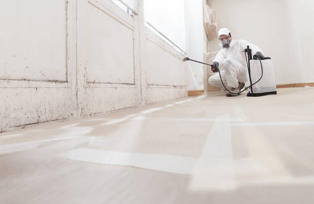 24/7 Emergency Mold Testing experts in Franklin, TN