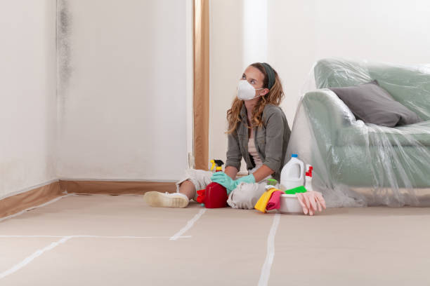 Reliable Mold Testing contractor in Franklin, TN by WQB Mold Removal